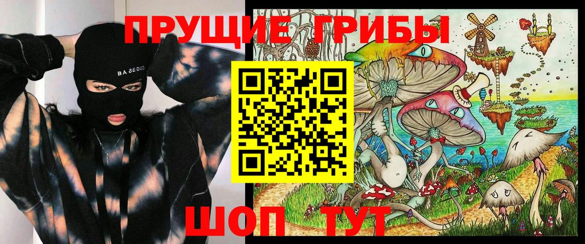 Псилоцибиновые грибы мицелий Нерюнгри